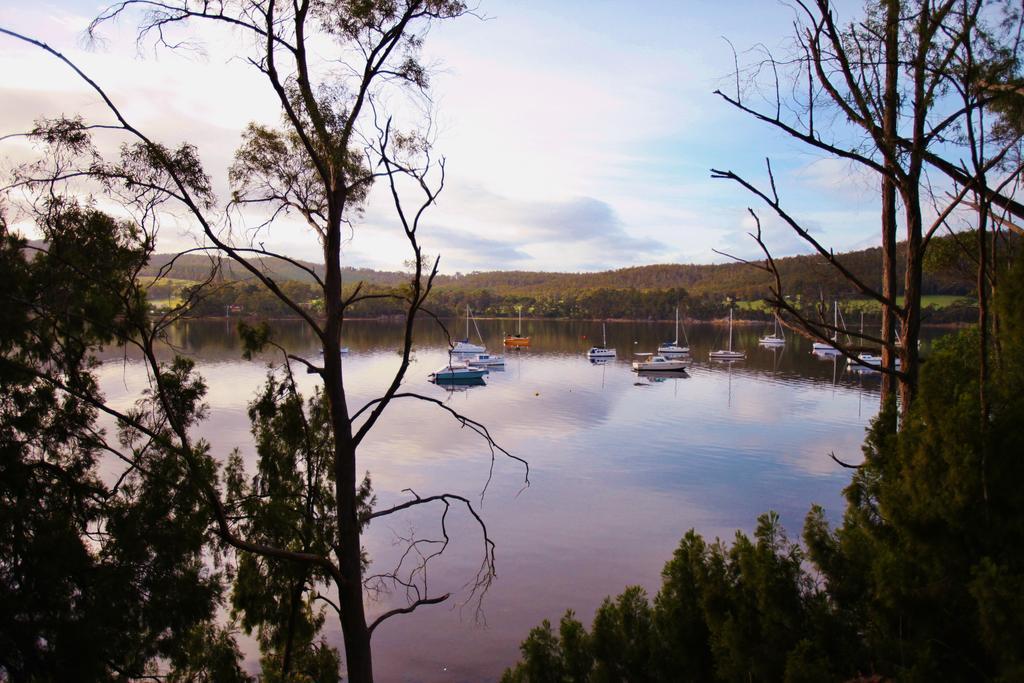 Penzion Tranquil Point Cygnet Exteriér fotografie